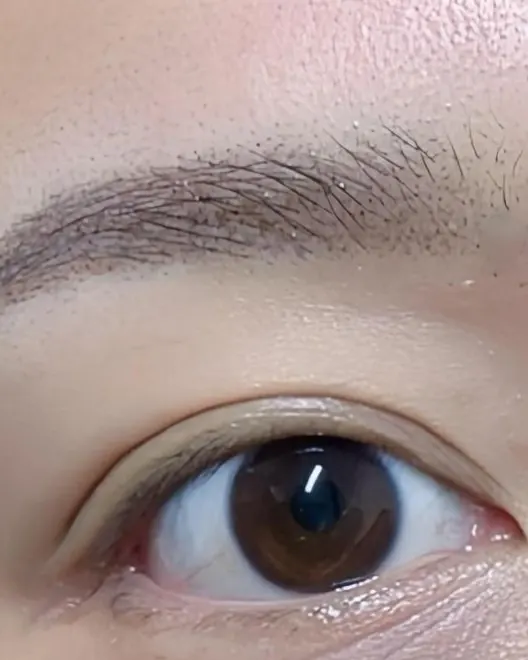 Soft, natural brow embroidery on an Aesthete client